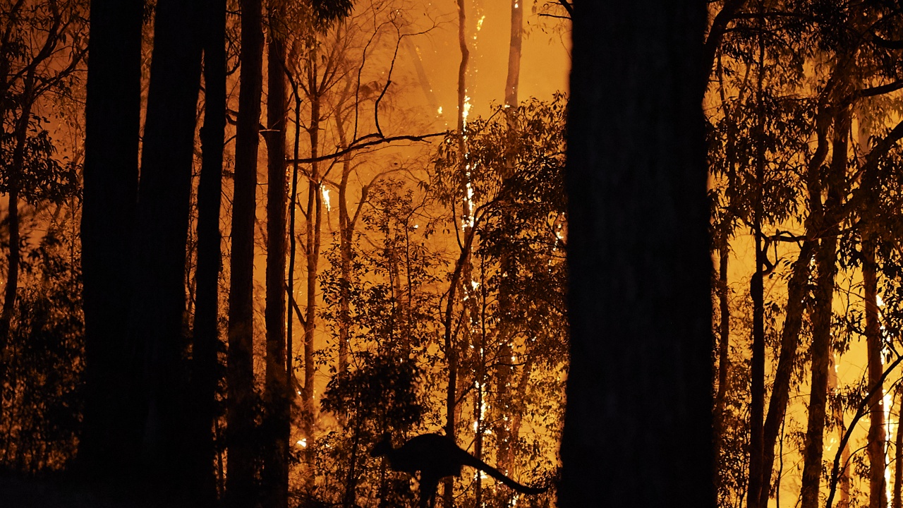 22-ма загинали при горските пожари в Чили