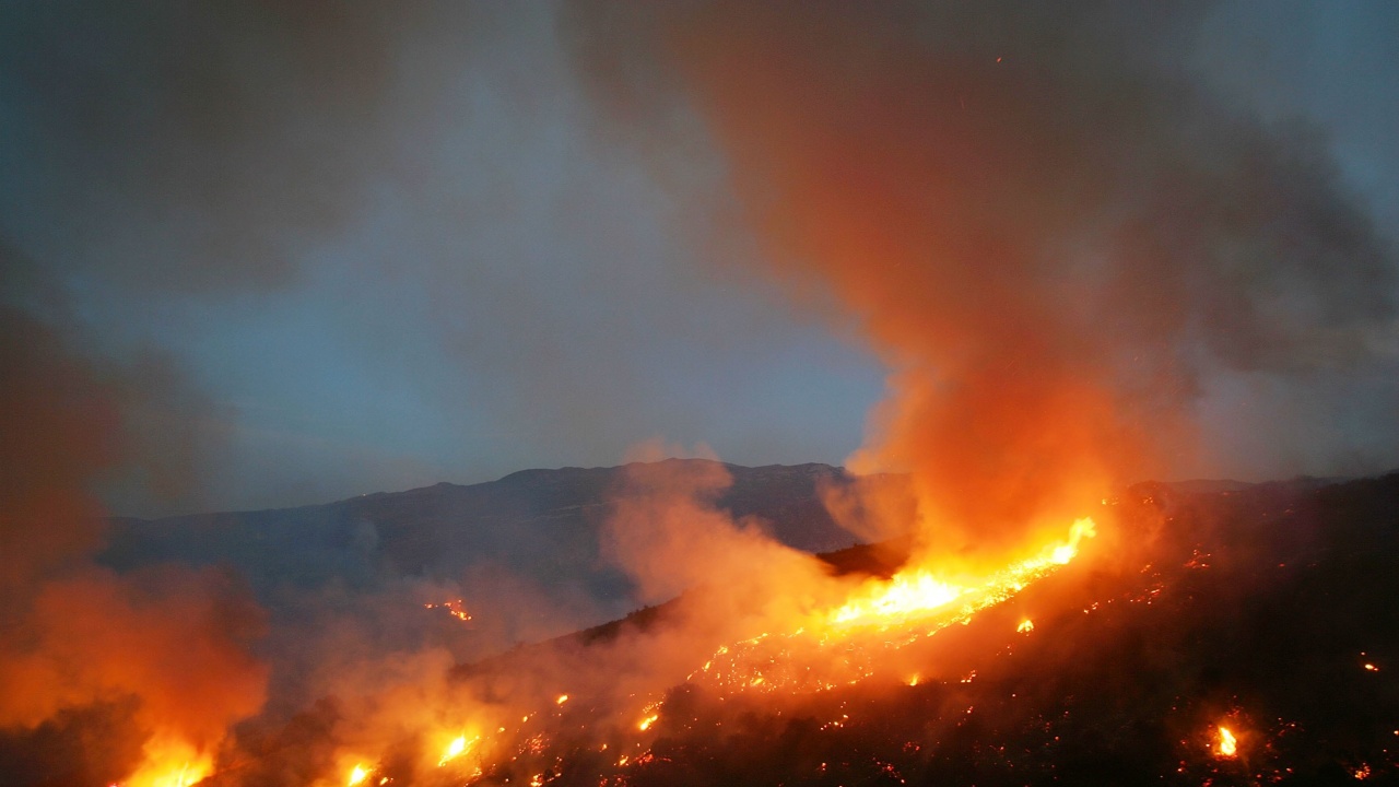 Чили поиска международна помощ заради пожарите