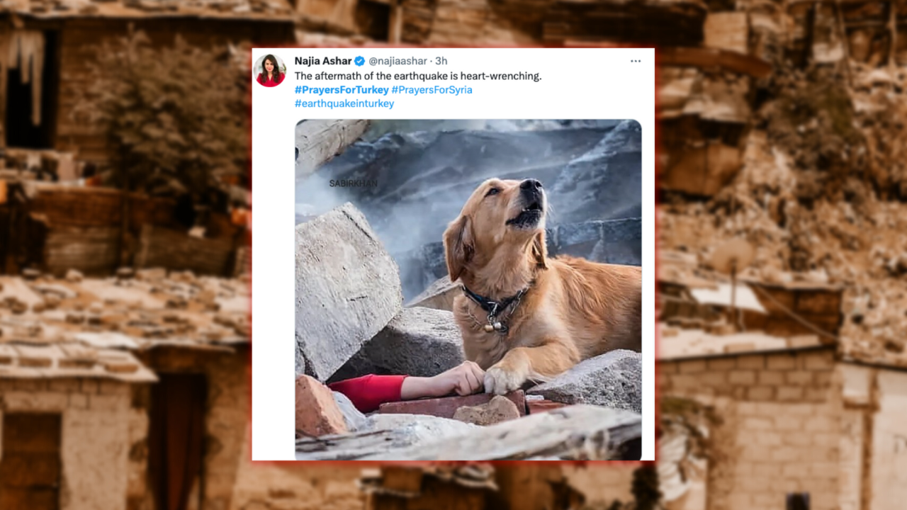 Снимката на куче до затрупан от земетресение човек потресе мрежата, оказа се рекламна