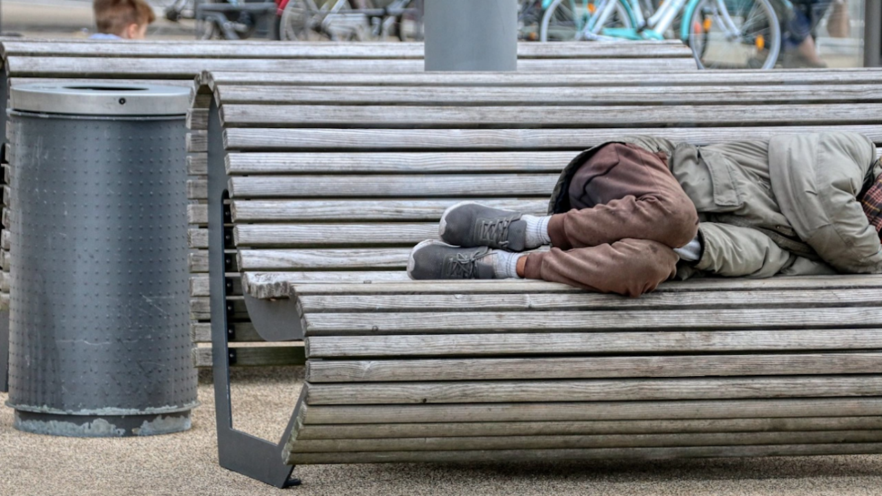 Приютиха 16 бездомни във Варна заради минусовите температури