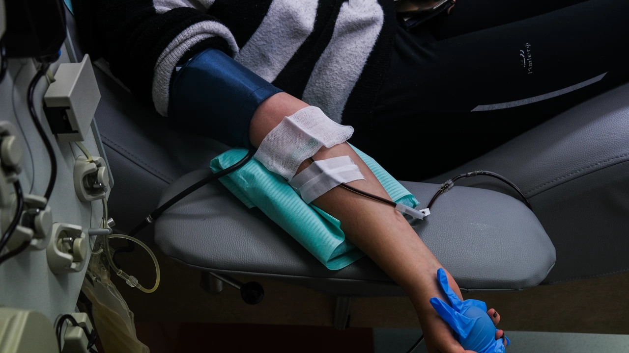 Министерството на здравеопазването на Румъния организира кръводарителска акция за пострадалите