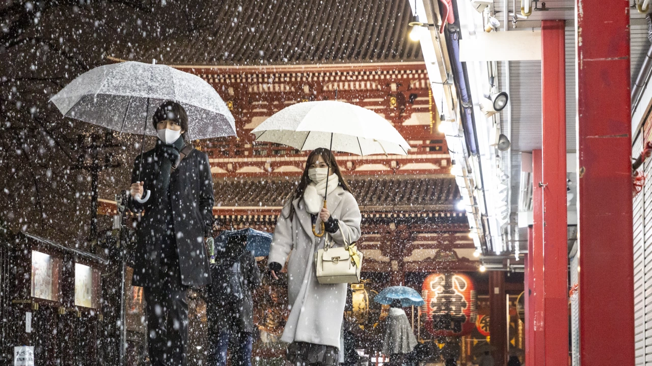Силен сняг в много части от Япония стана причина за