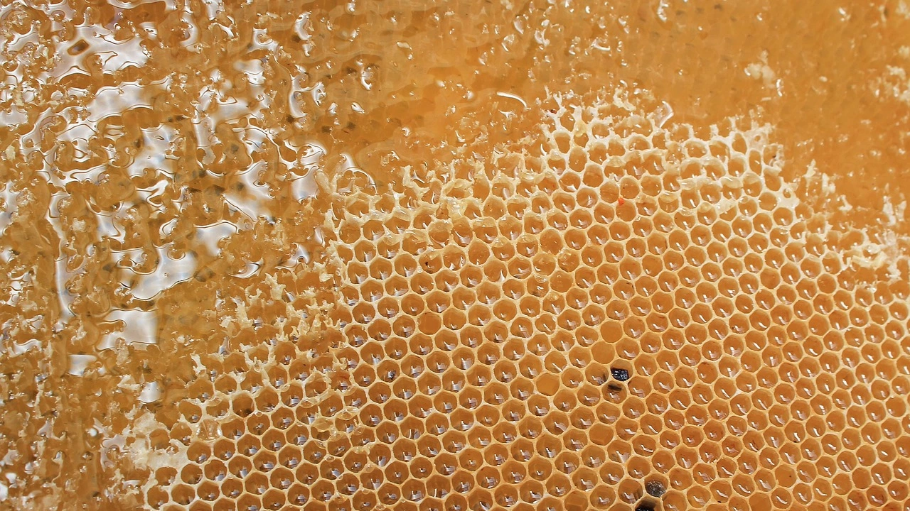 Хърватският мед Горански медун влезе в европейския регистър за продукти