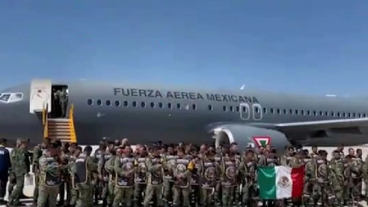 Мексиканската армия отдаде почит на кучето Протео което загина в