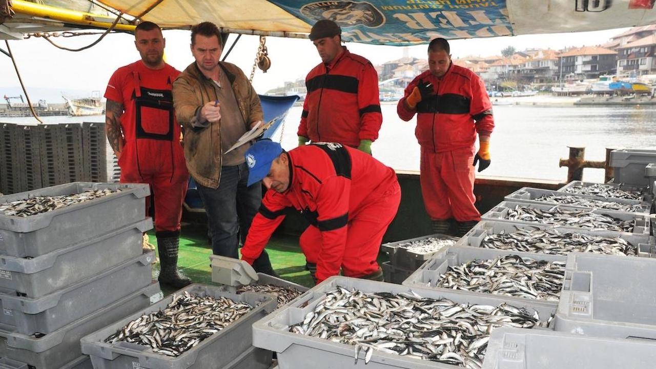Държавата ще компенсира рибарите заради войната в Украйна