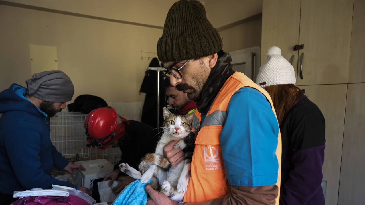 В Турция малко повече от две седмици след унищожителното