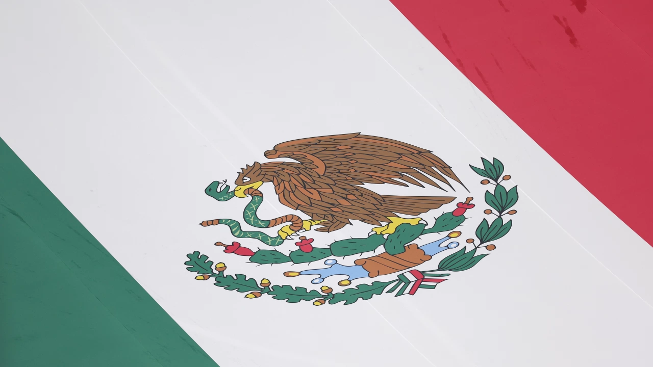 Мексико заяви че съжалява за решението на перуанския президент Дина