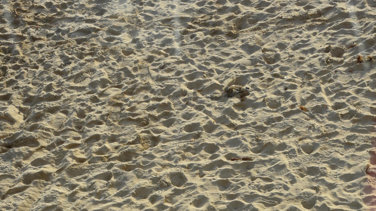 Незабавно е прекратено разкопаване на плаж Аурелия край Равда