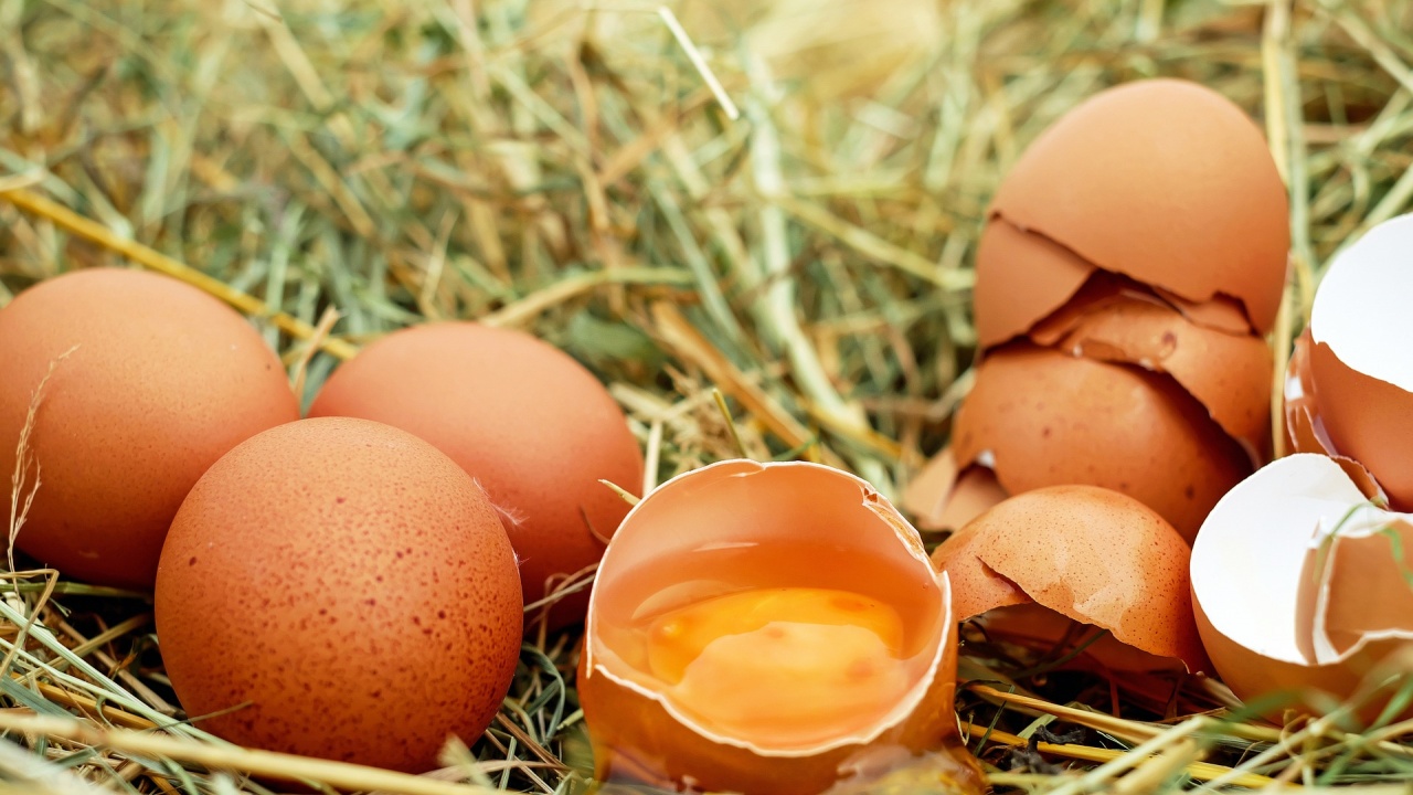 Не се очаква яйцата да поскъпнат около Великден