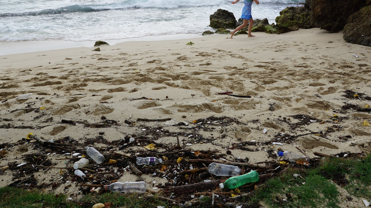 Количеството пластмаса в океаните може да се утрои до 2040 г., показа изследване