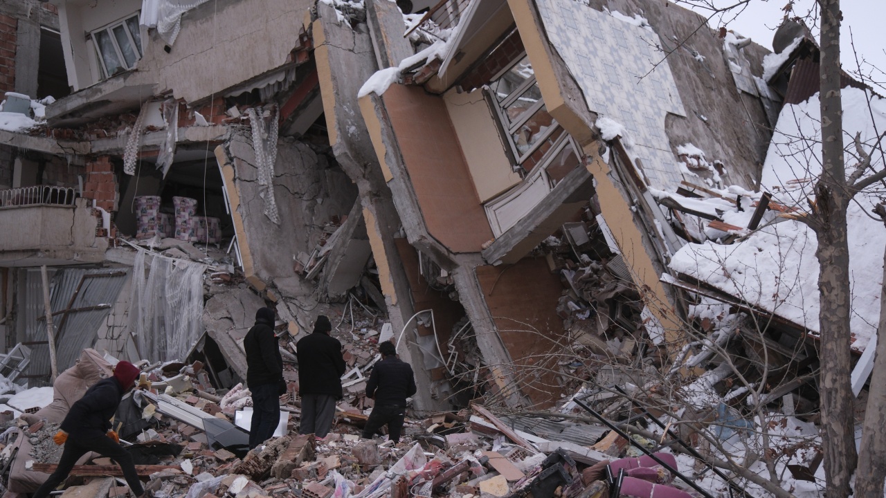 28 дни след земетресението в Турция: Спасиха доберман и трите му новородени кученца