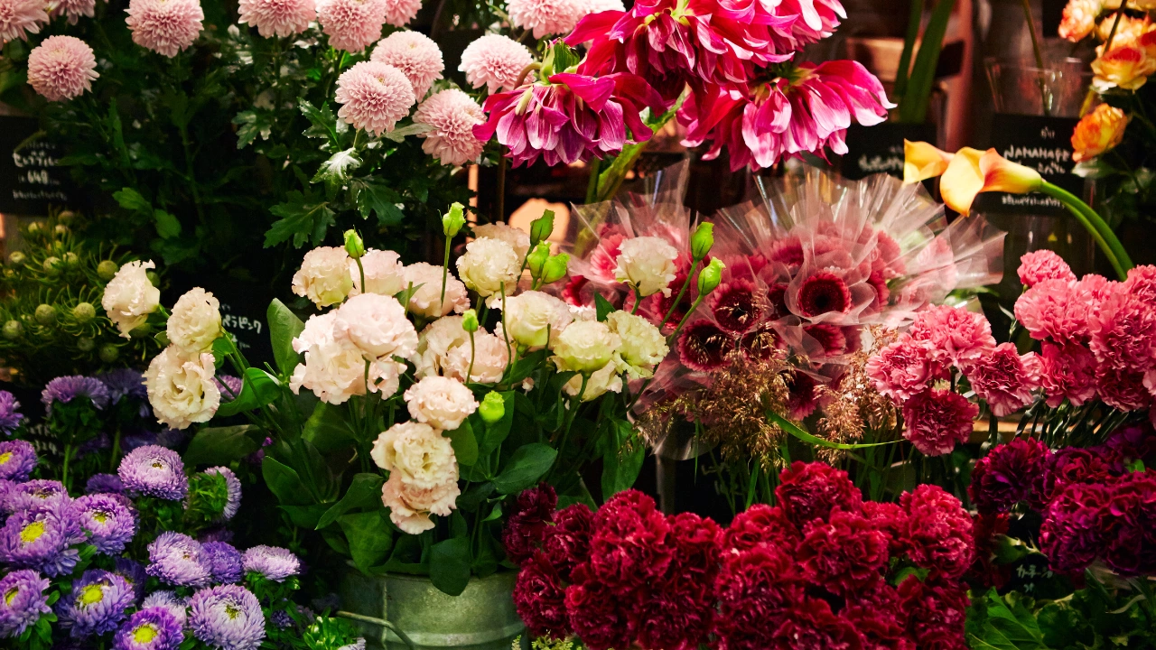 Цените на цветята са 100 увеличени в сравнение с периода