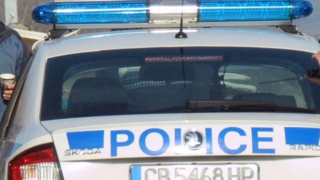 Седем лица са задържани в Петрич в рамките на специализираната