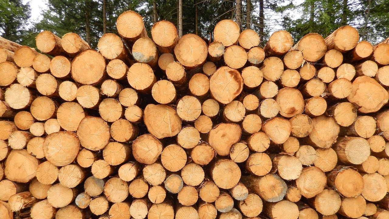 Проверки за незаконен дърводобив текат в цялата страна