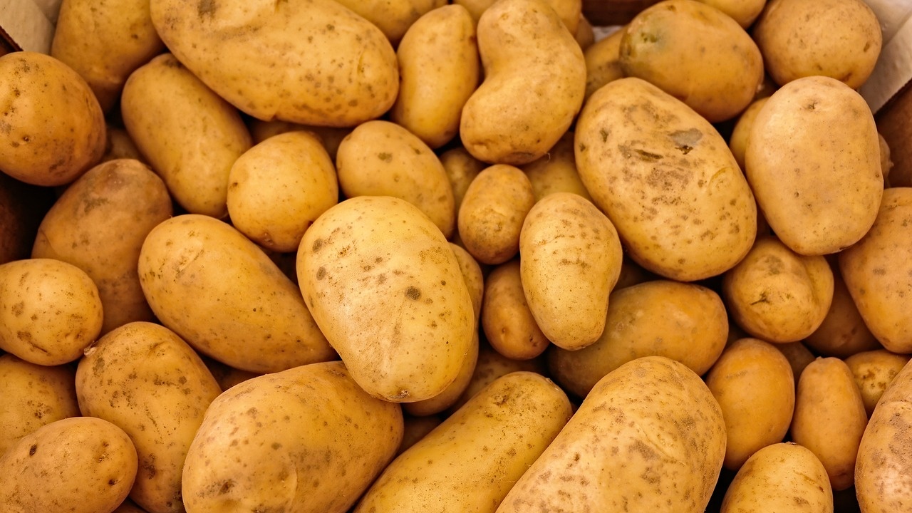 Осем души загинаха, затрупани от картофи