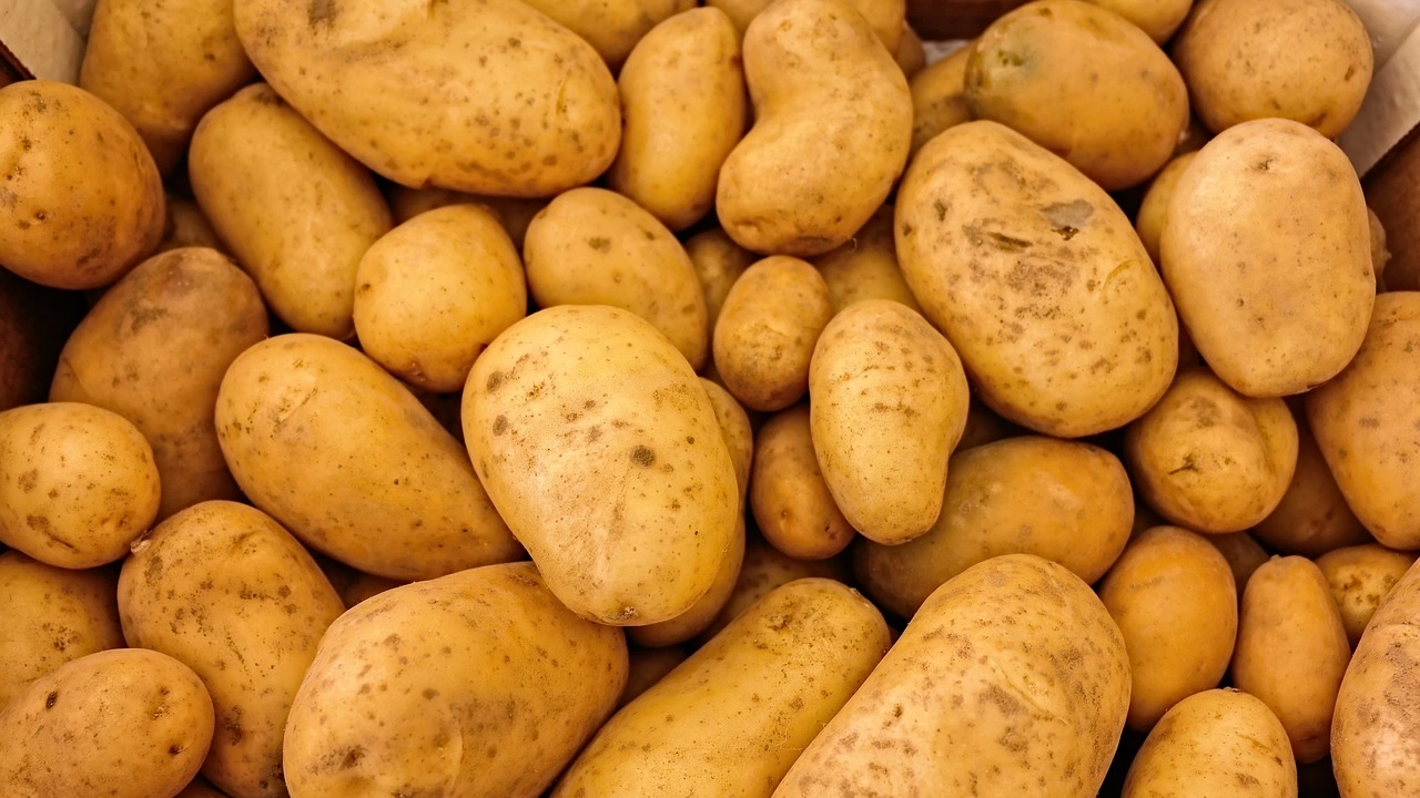 Най малко осем души загинаха в Индия  затрупани от картофи Зеленчуците се стоварили върху