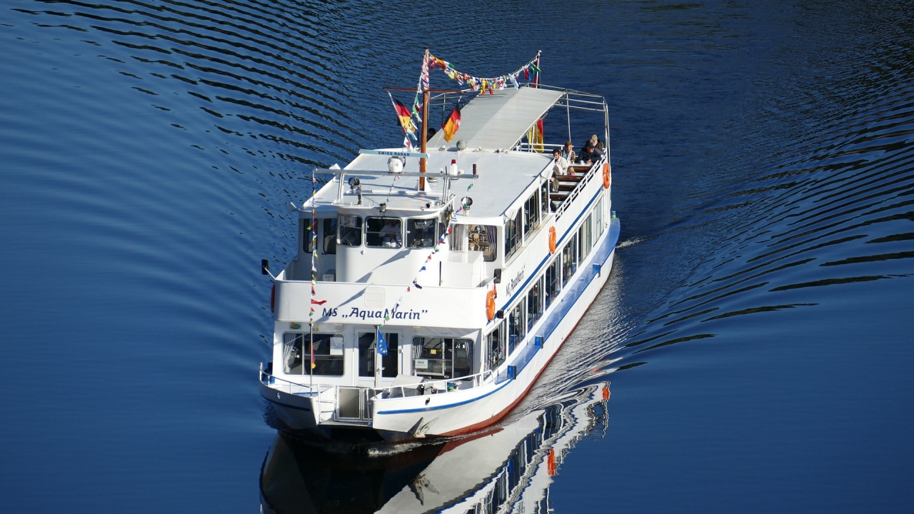 Първият за туристическия сезон круизен кораб по Дунав акостира днес на видинското пристанище