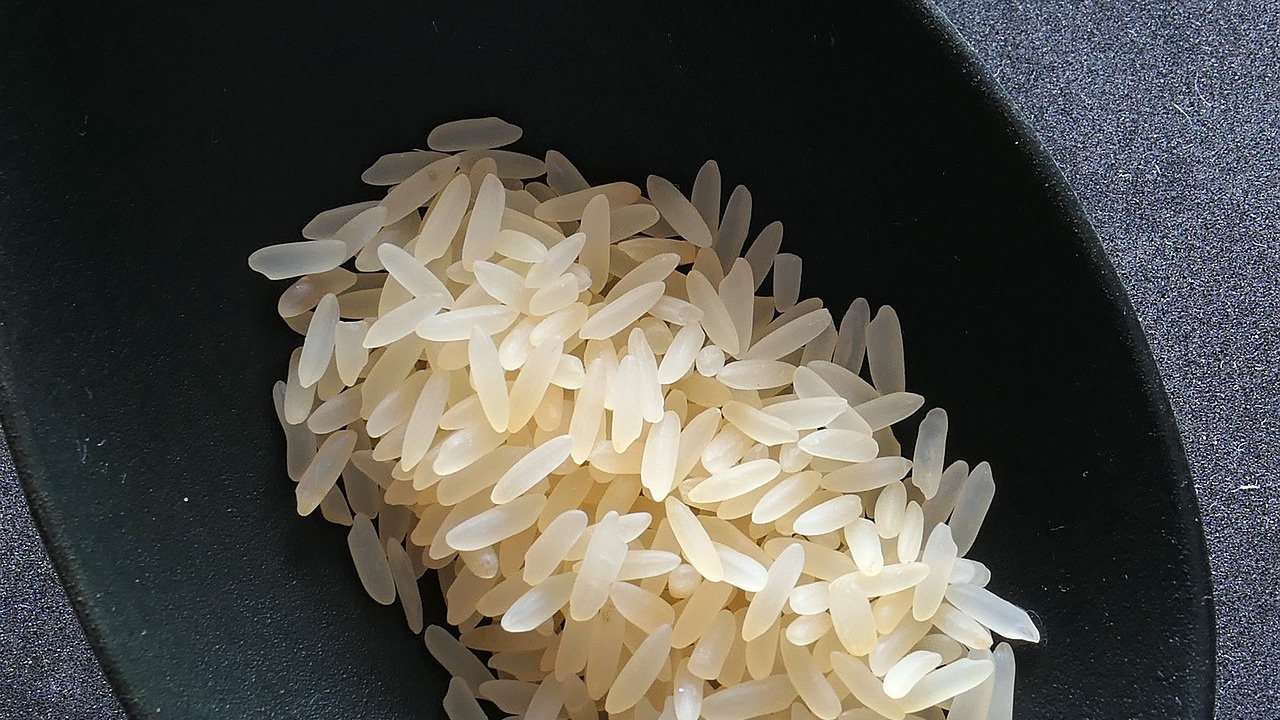 Италия ще намали производството на ориз заради суша за втора година