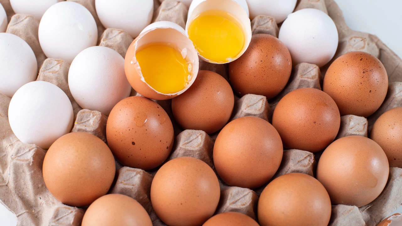 Цената на яйцата за Великден няма да се повиши и