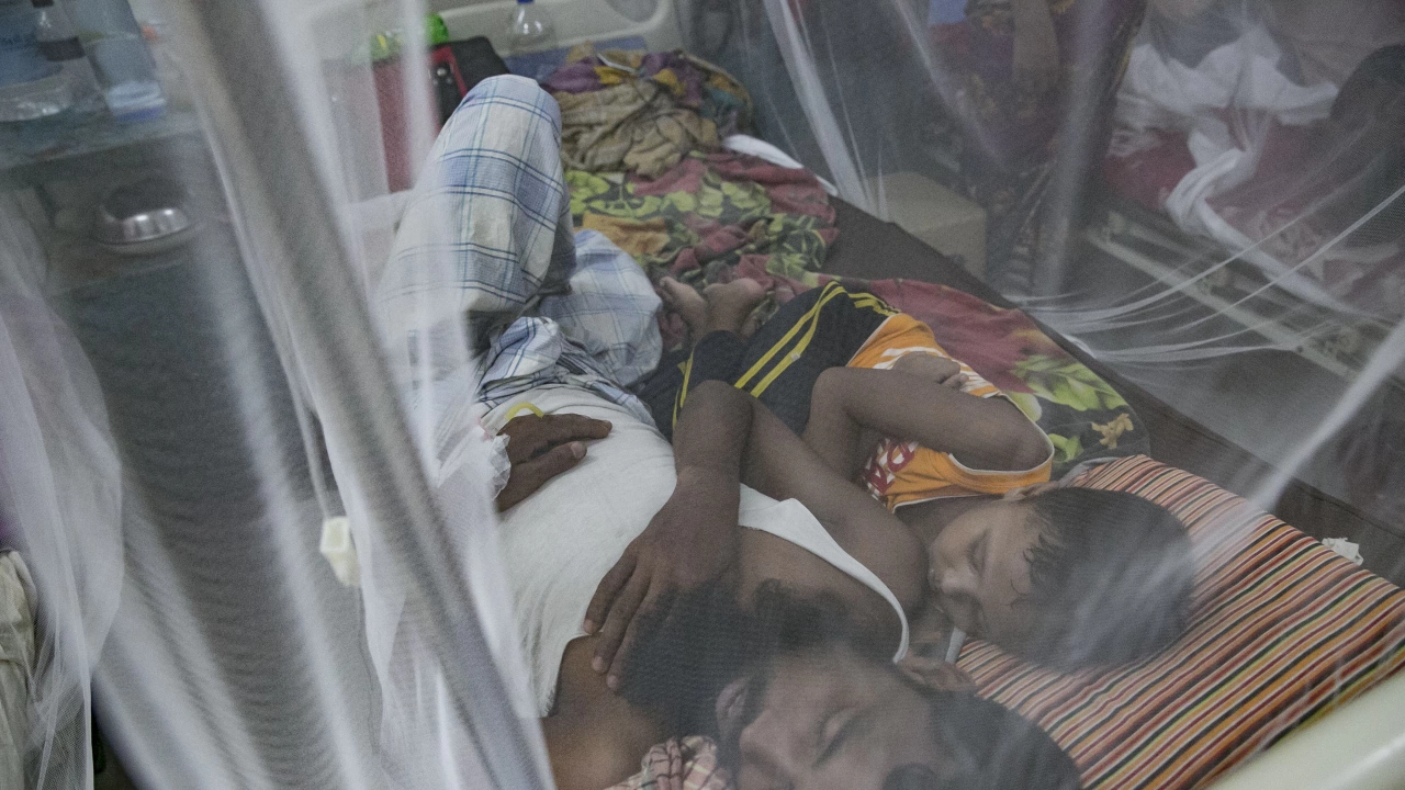 Екваториална Гвинея потвърди още осем случая на силно заразната марбургска хеморагична