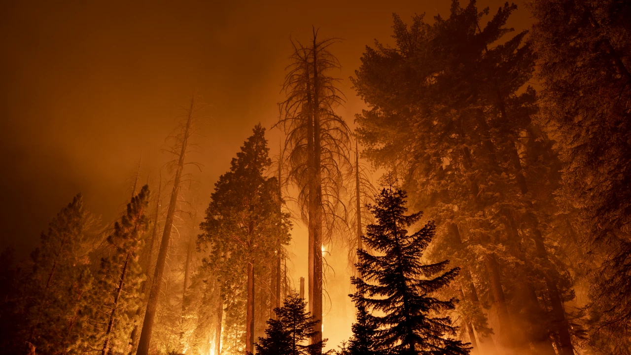 Сушата в Испания доведе до избухването на горски пожари В