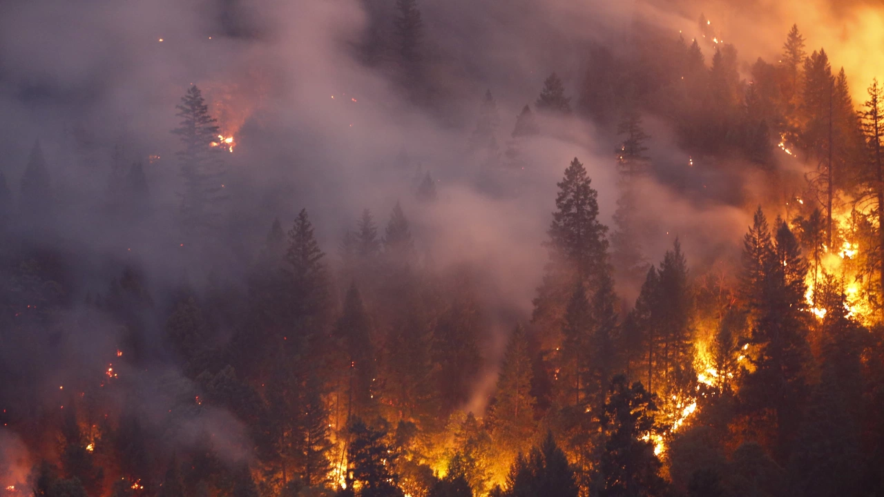 Избухването на голям горски пожар в провинция Кастельон в Източна