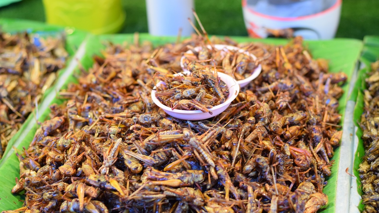 В 18 масови храни вече се влага хитин от насекоми