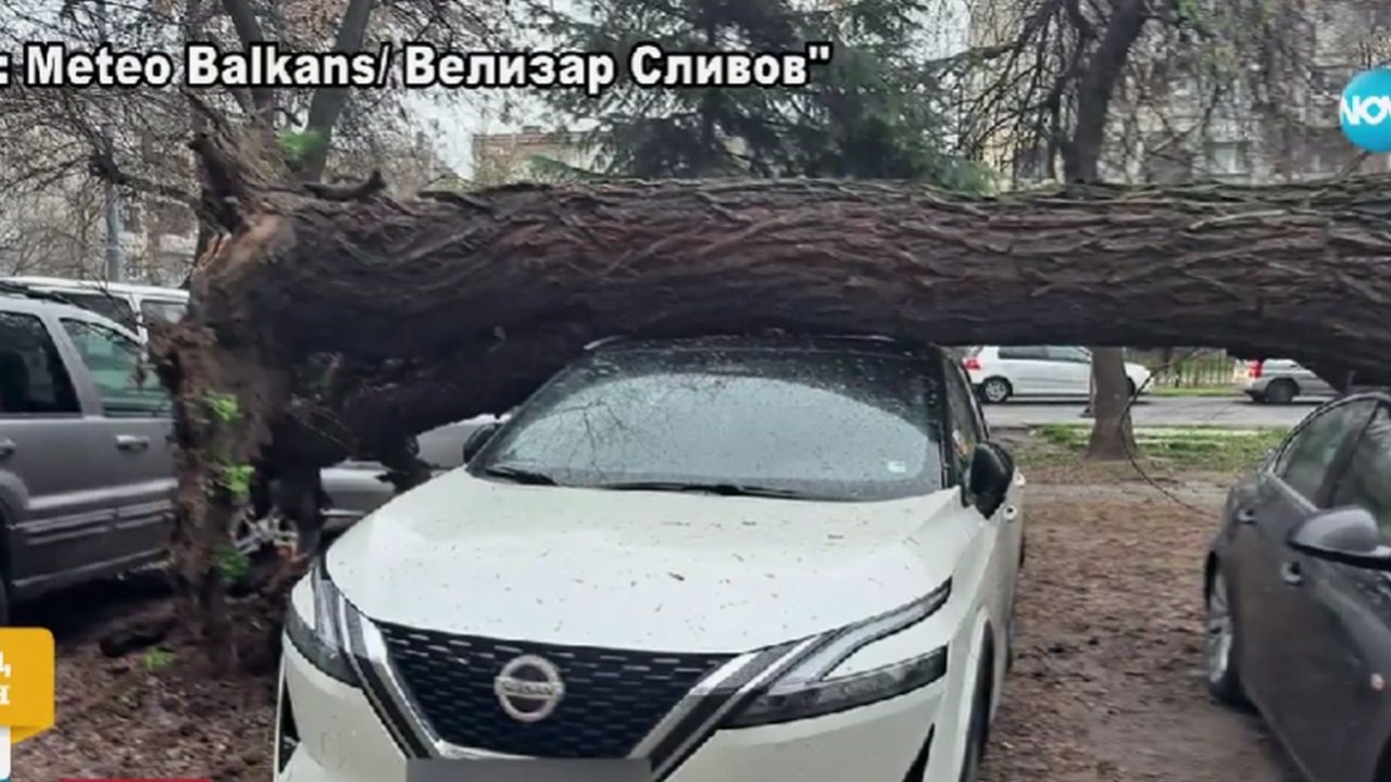След мощната буря в Пловдив: Какви са щетите?