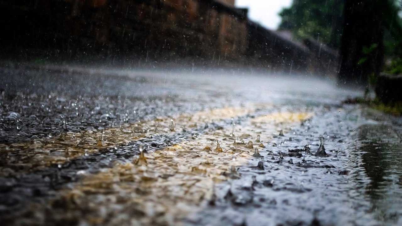 Метеоролозите в Турция издадоха жълт код за проливни дъждове с