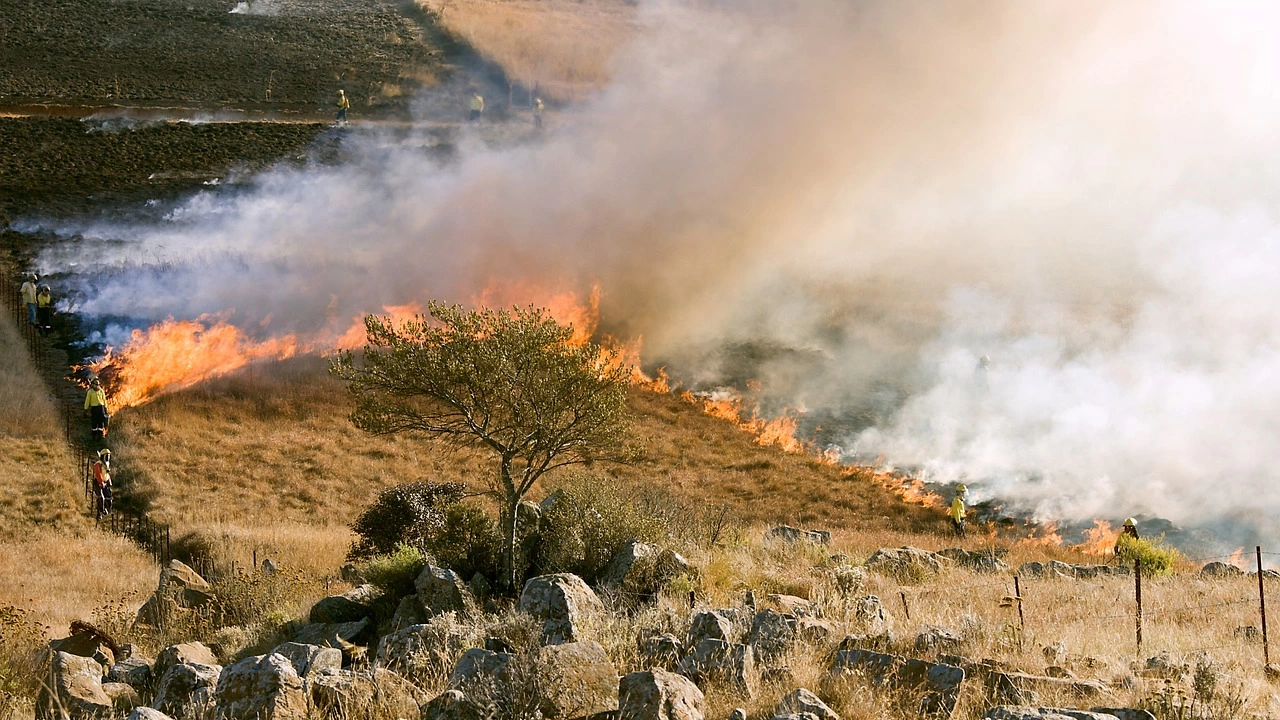 Повече от 100 горски пожара избухнаха в северния испански регион
