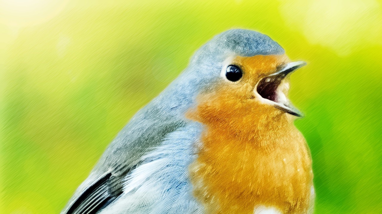 Отбелязваме Световния ден за рисуване на птици