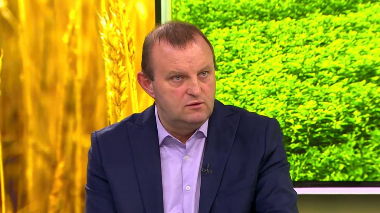 Зам.-министърът на земеделието: Ще обсъдим на Консултативен съвет какво да правим с украинското зърно
