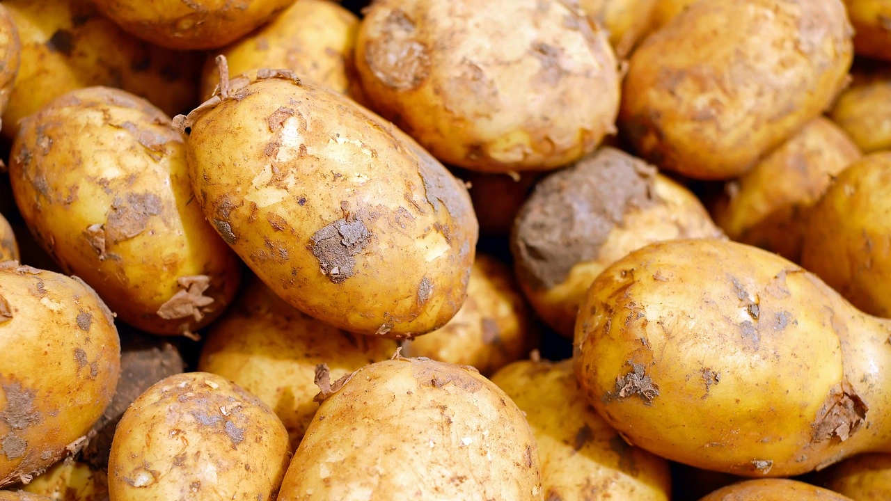 Драстично поскъпване на картофите отчита Държавната комисия за стокови борси