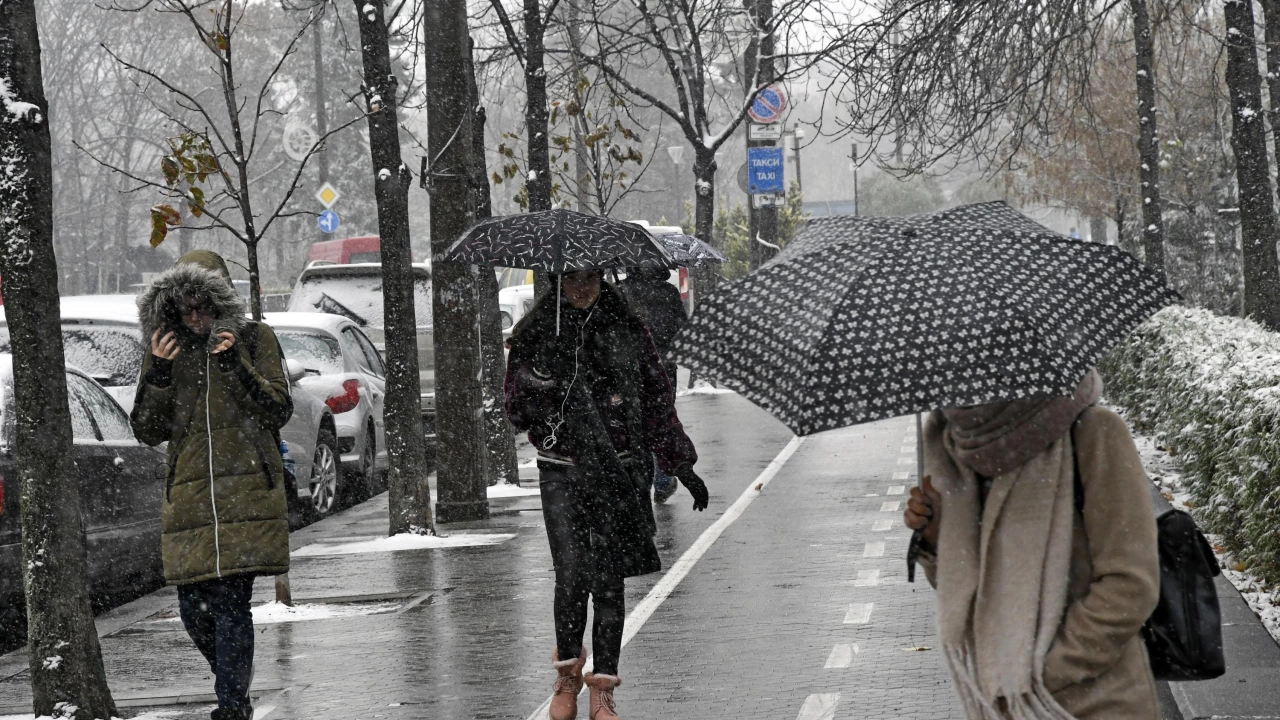 В София във връзка с валежите от сняг са извършени