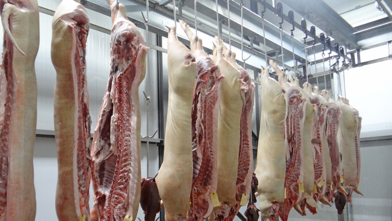 БАБХ затвори кланица в Кърджали, агнешкото месо било с неясен произход