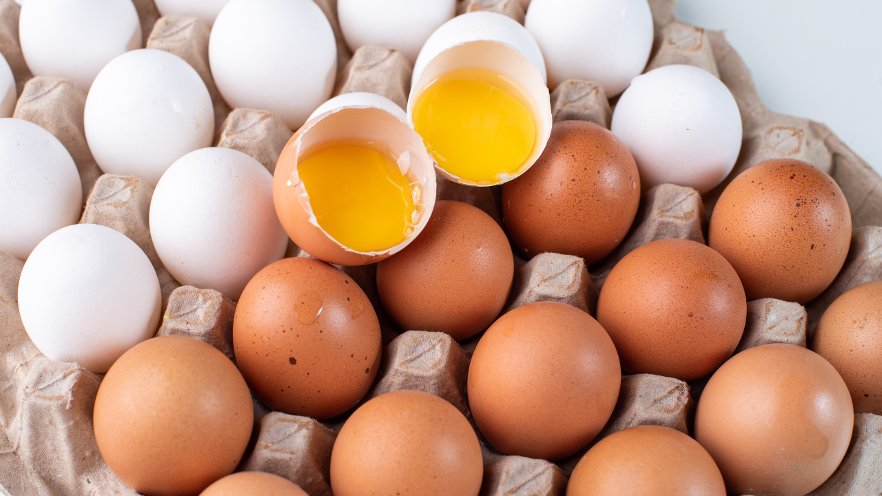 През последните 20 години цените на яйцата са нормални. Те