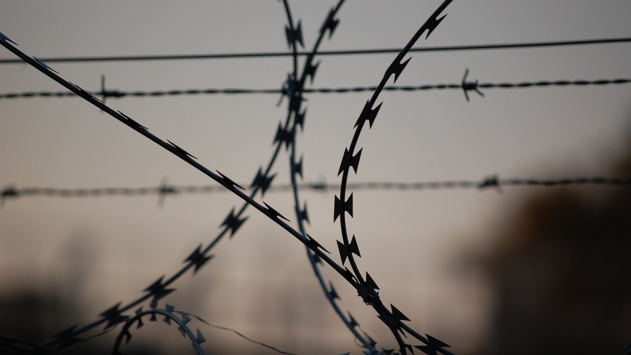 Финландия вдига ограда с бодлива тел по границата си с Русия