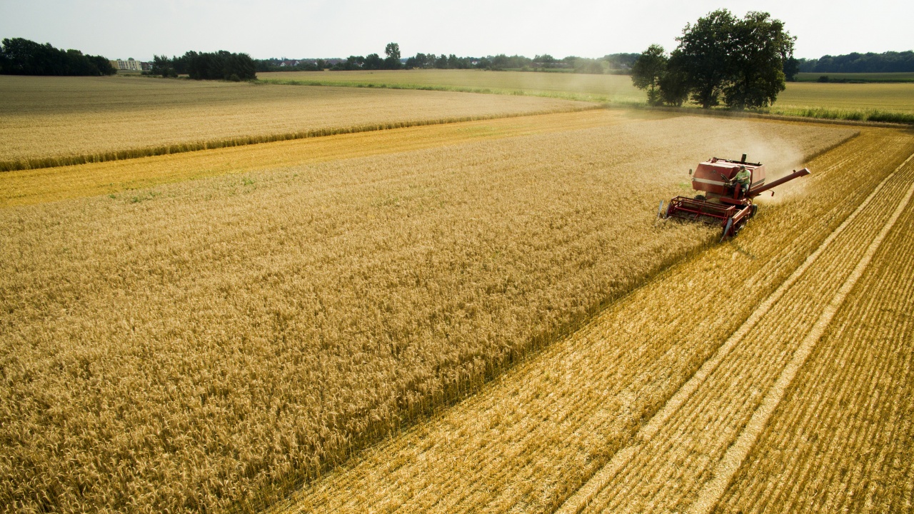 Полша предоставя на фермерите помощ за 2,4 млрд. долара