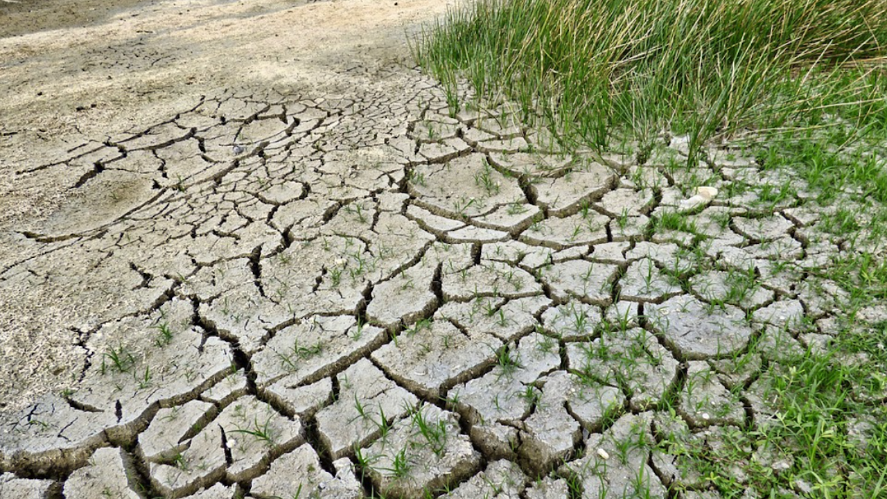 1/4 от Европа е страдала от засушаване на почвата в началото на април