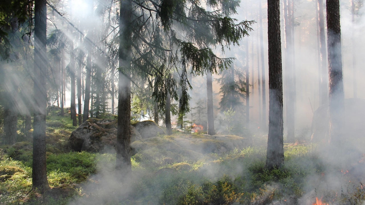 Двойно са се увеличили горските пожари в Ловешко за година