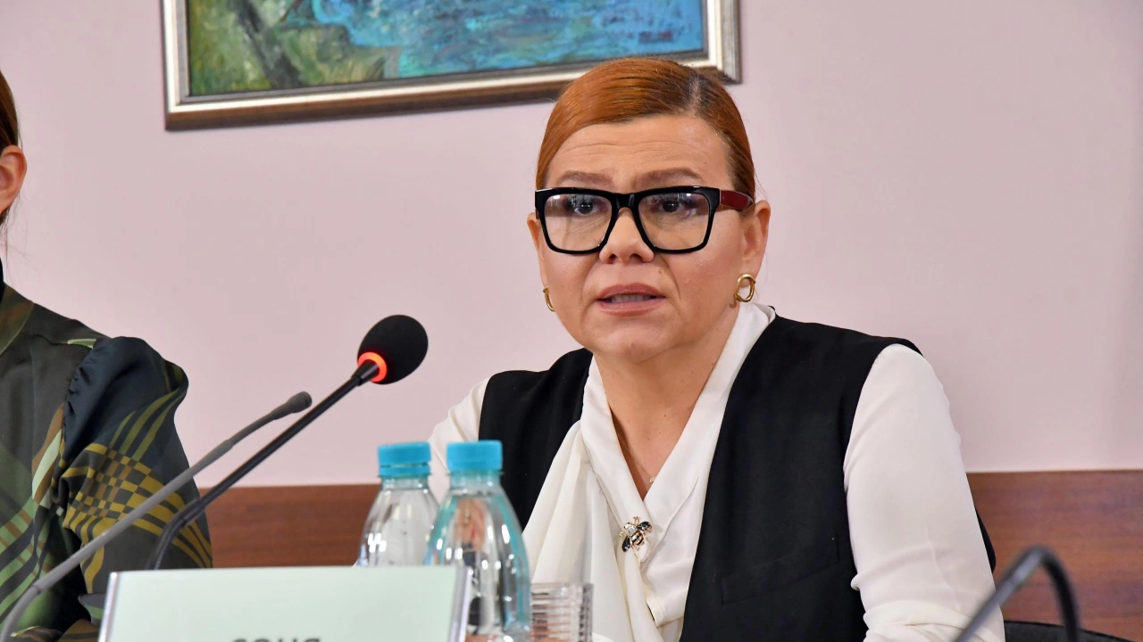 Соня Момчилова беше избрана за председател на Съвета за електронни