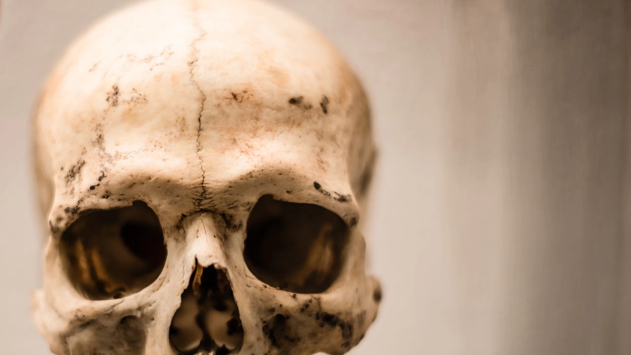 Човешки останки открити миналото лято в езерото Мийд близо до
