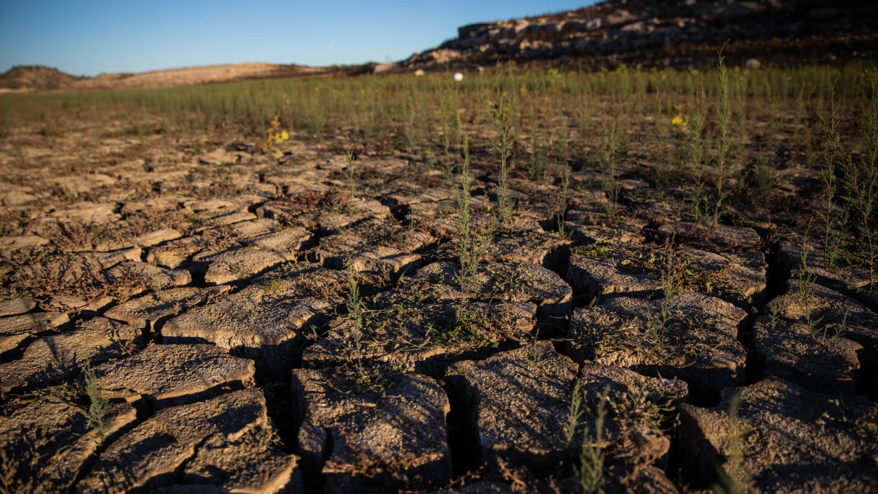 Над 75 от земеделската продукция в най сухите райони на Испания