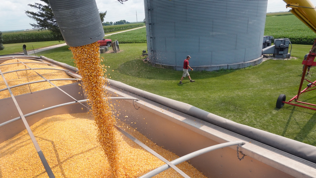 Румъния вече прилага новия европейски регламент, забраняващ вноса на зърно от Украйна