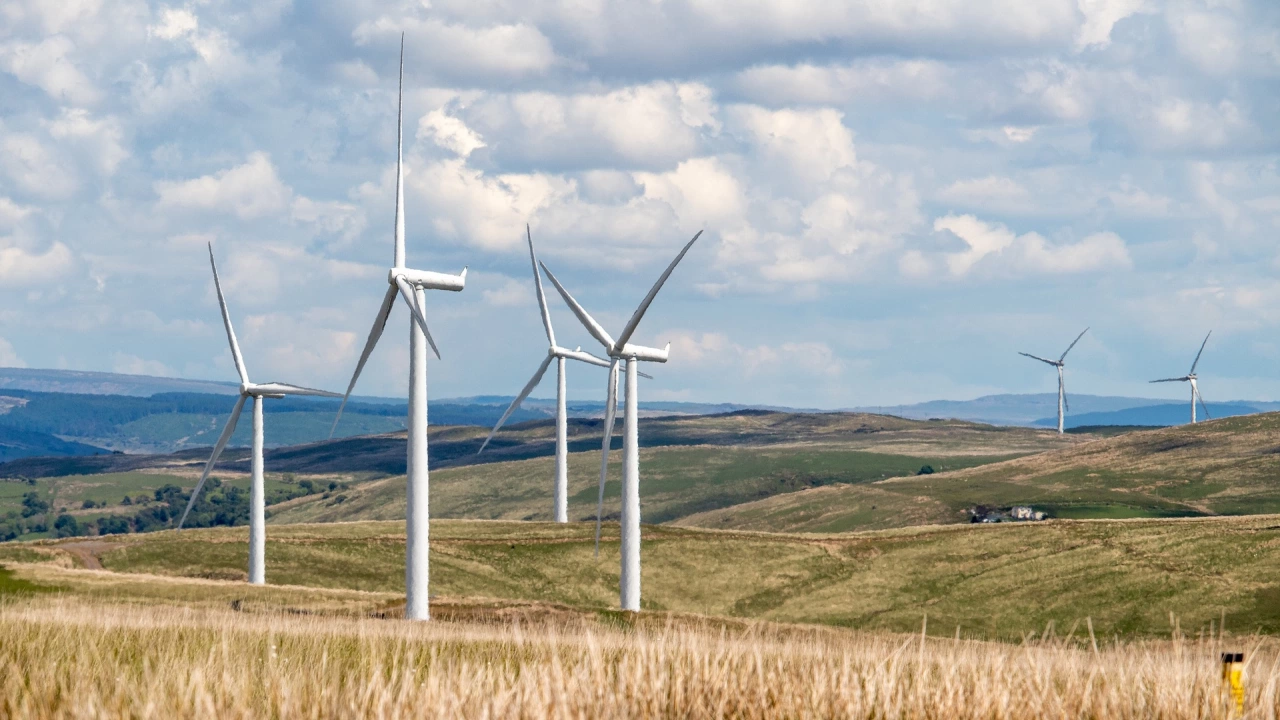  
Делът на електроенергията произведена от вятърни централи през последните 24