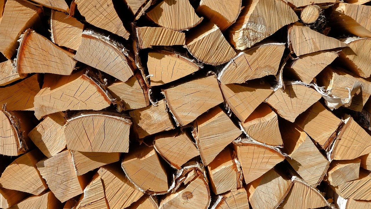 Европейският съюз ще забрани вноса на продукти като кафе дървесина