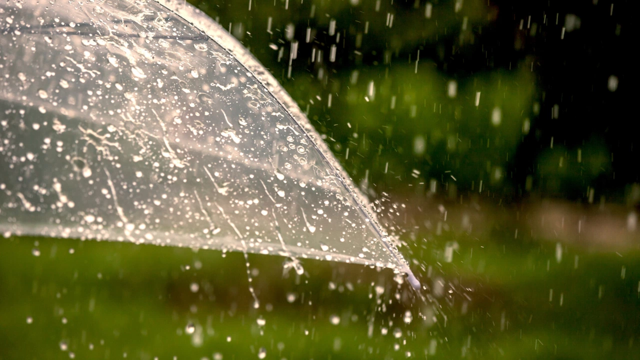Жълт код за интензивни валежи от дъжд и  гръмотевици за почти