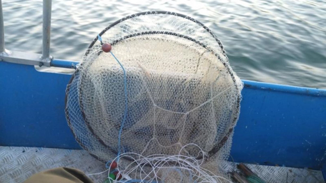 Служители на Изпълнителна агенция по рибарство и аквакултури започна масирани