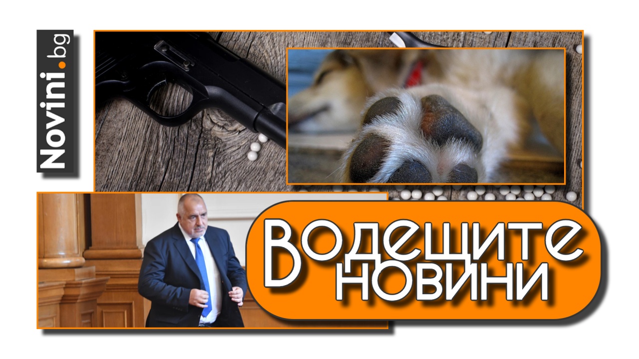 Водещите новини! Прокуратурата разкри подробности за разпита на Борисов. Деца стреляха по съученици. Мъж уби куче с преправен пистолет (и още…)