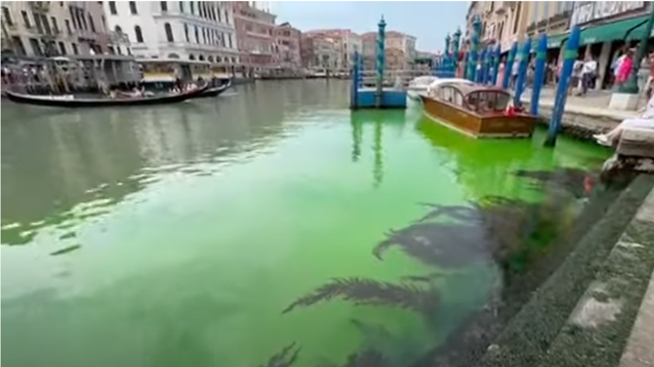 Част от Канал Гранде във Венеция стана зелен